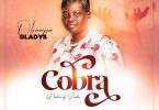 Obaapa Gladys – Nipa Ye Cobra